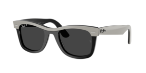 Ray-Ban 0RB2240 144248