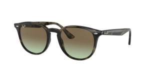Ray-Ban 0RB4259 731/E8