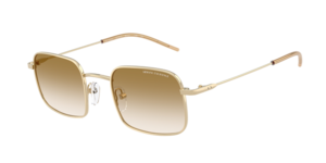 Armani Exchange 0AX2055S 611013