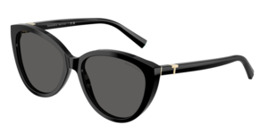 Tiffany & Co. 0TF4251F 8001S4
