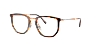 Ray-Ban 0RX4451V 5687