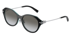 Tiffany & Co. 0TF4210D 82853C