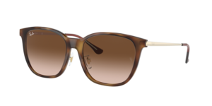 Ray-Ban 0RB4333D 710/13