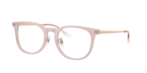 Ray-Ban 0RX5453D 8438