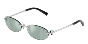 Tiffany & Co. 0TF3119D 600165