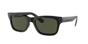 Ray-Ban 0RB2283 901/31