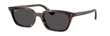 Ray-Ban 0RB4456 135987