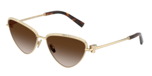 Tiffany & Co. 0TF3107KB 62123B