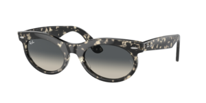 Ray-Ban 0RB2242 133371