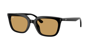 Ray-Ban 0RB4439D 901/73