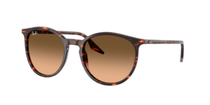 Ray-Ban 0RB2204 14293B