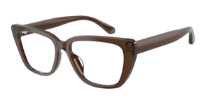 Emporio Armani 0EA3256U 6251