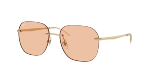 Ray-Ban 0RB3787I 920173