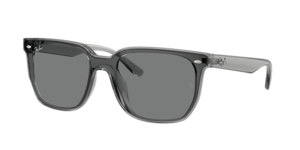 Ray-Ban 0RB4466D 645087