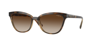 Vogue Eyewear 0VO5496SI W65613