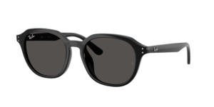 Ray-Ban 0RB4459D 901/87