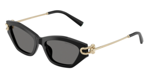 Tiffany & Co. 0TF4231U 800181