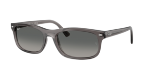 Ray-Ban 0RB2224 667571