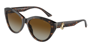 Jimmy Choo 0JC5007 5002T5