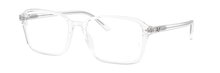 Ray-Ban 0RX5431 2001