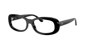 Ray-Ban 0RX2221V 2000