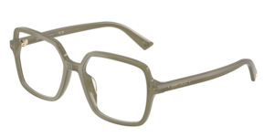 Jimmy Choo 0JC3046U 5082