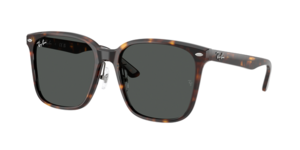 Ray-Ban 0RB2206D 710/87