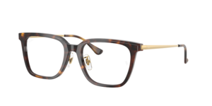 Ray-Ban 0RX5442D 2012