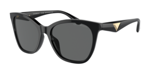 Emporio Armani 0EA4222U 501787