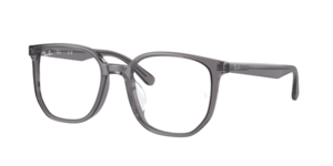Ray-Ban 0RX5411D 8268