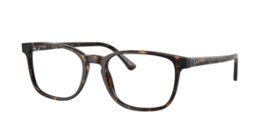 Ray-Ban 0RX5418 2012