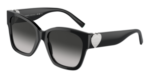 Tiffany & Co. 0TF4216F 80013C