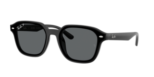 Ray-Ban 0RB4458D 601/81
