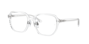 Ray-Ban 0RX5424D 2001