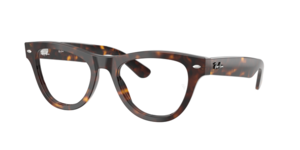 Ray-Ban 0RX5510 2012