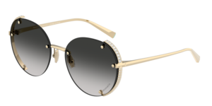 Tiffany & Co. 0TF3110KB 62203C