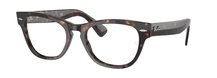 Ray-Ban 0RX2201V 2012