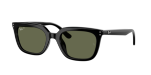 Ray-Ban 0RB4439D 901/9A