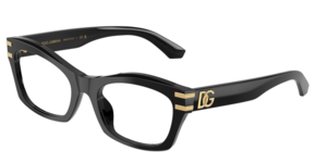 Dolce & Gabbana 0DG3420 501