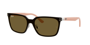 Ray-Ban 0RB3784D 003/73