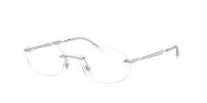 Ray-Ban 0RX3767V 2501