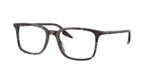 Ray-Ban 0RX5421 8424