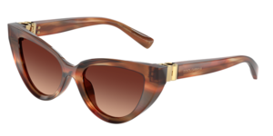Dolce & Gabbana 0DG4497 322113