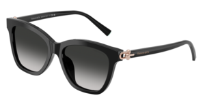 Tiffany & Co. 0TF4241D 80013C