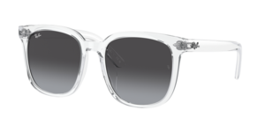 Ray-Ban 0RB4401D 64478G