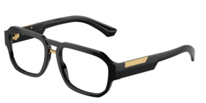 Dolce & Gabbana 0DG3389 501