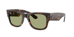 Ray-Ban 0RB0840S 902/4E
