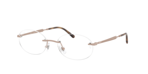 Ray-Ban 0RX3767V 3207