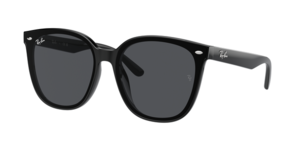 Ray-Ban 0RB4423D 601/87