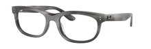 Ray-Ban 0RX5489 8400